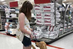 The do’s and don’ts of service dog etiquette