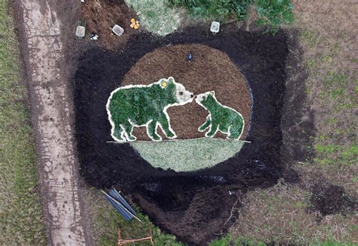 Zoo unveil adorable bear-and-cub sculpture made from recycled Christmas trees