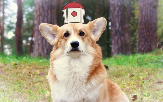 【美番/2019】无尽列车 Infinity Train “柯基尼亚度假区欢迎您”广告【1080p】