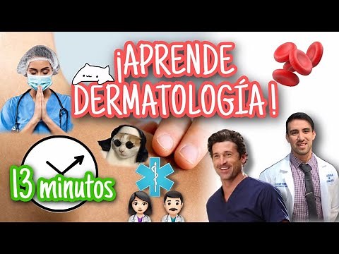 SKIN: Functional Anatomy in 13 Minutes! BASIC DERMATOLOGY