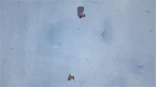 Naruto Shippuden capitulo #375 completo español latino #ybarra | lo mejor del anime