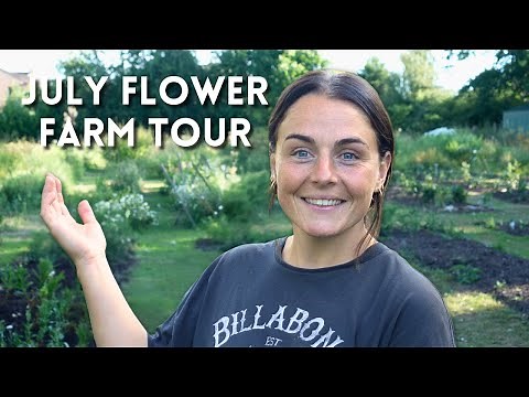 July Flower Farm Tour (Challenges and Successes)