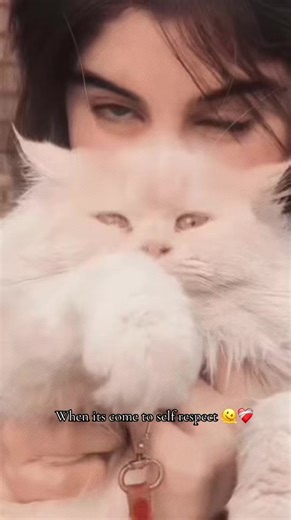 Understanding Self-Respect in Daily Life