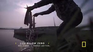 Summers in Alaska mean longer work days to prepare for winter’s inevitable return. Life Below Zero continues January 7 at 9/8c. | Life Below Zero