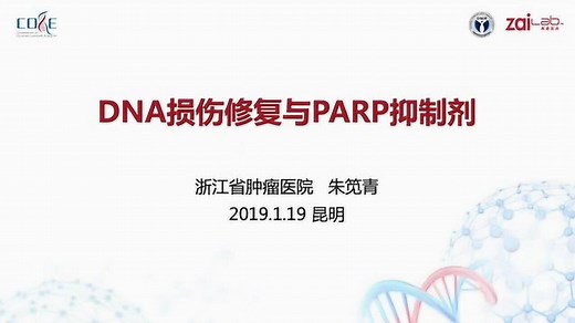 DNA损伤修复与PARP抑制剂