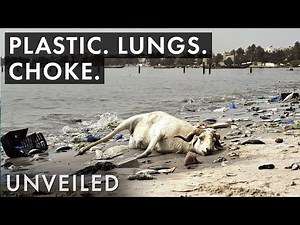 What If Plastic Pollution Gets Even Worse? | Unveiled