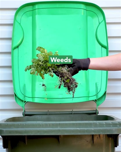 58 reactions · 16 comments | Did you know? Almost a quarter of the...