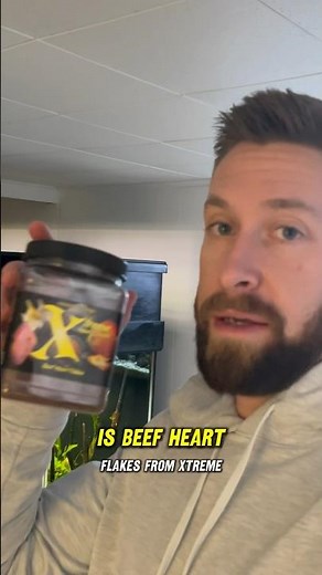 What I Feed My Discus Aquarium