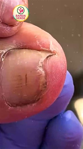 63K views · 438 reactions | Ep.1068 Rainy days protect grounded energy with plan and organization #HydrationPlan #BudgetWellness #BalancedLiving | Banda Verde | Facebook