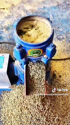 Ensuring Export-Grade Quality in Flat Die Feed Pellet Machines