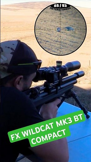 FX WILDCAT MK3 COMPACT | Powerful PCP Air Gun | Best air guns in the world #fxairguns #sniper
