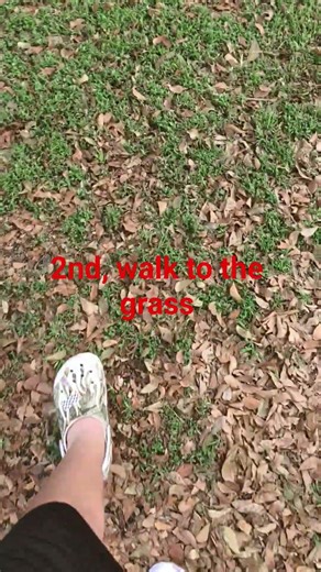 how to touch grass #learning #touchgrass
