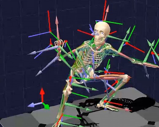 What is BoB Software? BoB Biomechanics