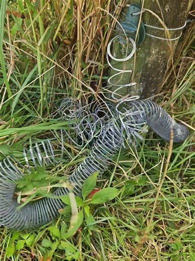 Funny Farming Mishaps: A Joker's Tale