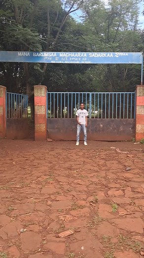 Outdoor Stretching Exercises for Flexibility and Health
