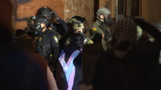 Portland ICE protesters surprised by lack of tear gas at weekend demonstration