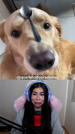 The Cutest Video of the Day #shorts