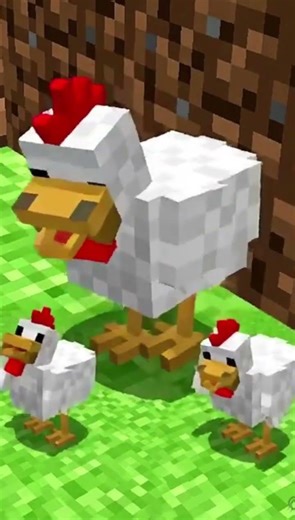 the life of chicken 🐔 in #Minecraft.