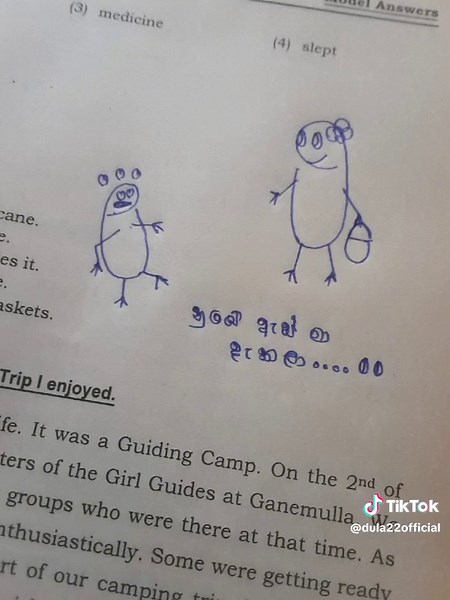 Language Training Program with Hand-drawn Annotations