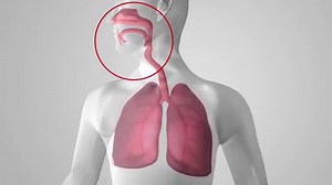 Vapotherm Hi-VNI Technology is a refined form of high flow nasal cannula for the signs & symptoms of respiratory distress. Take a dive into the technology that makes these advancements in patient care possible. For more information: http://hubs.ly/H08nx8s0 | Vapotherm