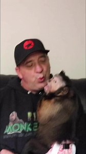 9.9K views · 627 reactions | Princess Monkey TICKLE time #monkey #tickles #funny #princess #cute | MonkeyBoo | Facebook