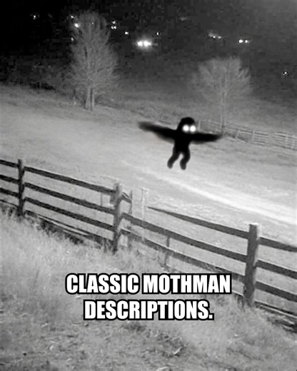 Imagine seeing this IRL 😱 Terrifying Mothman Sighting Recently Caught on Ranch Security Camera #mothman #scary #cryptid | Most Amazing Top 10