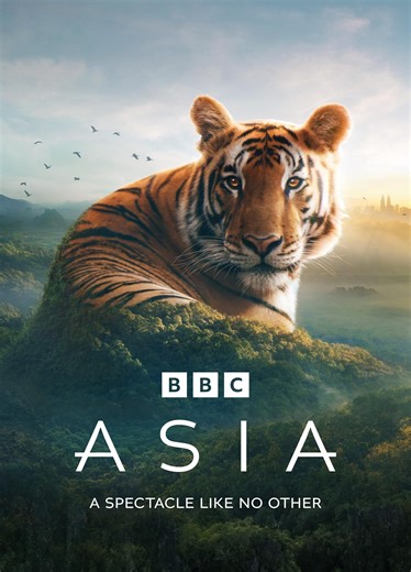 Asia (2024) Blu-ray