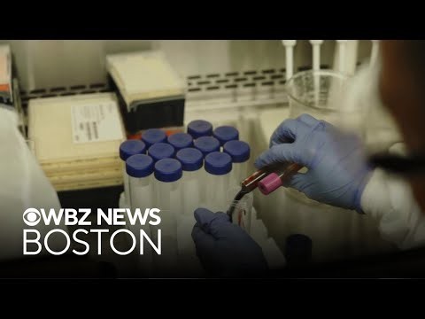 Tuberculosis vaccine used to treat Type 1 diabetes shows promising results in clinical trial