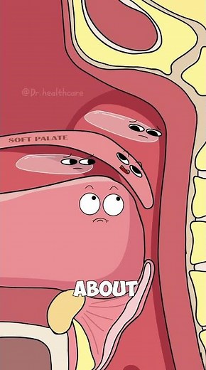 Why You REALLY Snore (And How To Stop It)