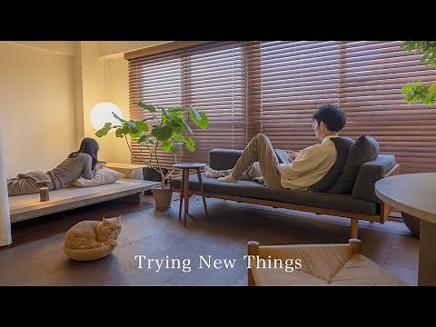 Things I would like to try!/New furniture, renovations, shared villas, rough plan services