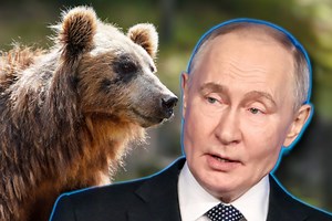 Russischer Bär ist nicht satt: Putin-Vertrauter will weitere Annexionen