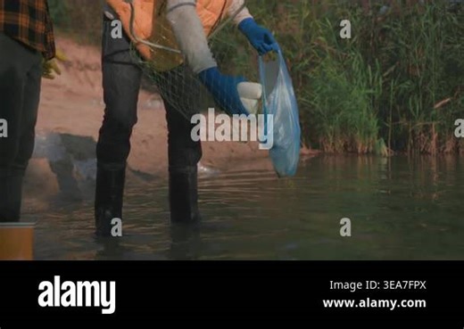 river volunteers scoop plastic with net, child helper and older volunteer wearing gloves and waders collect debris into Stock Video Footage - Alamy