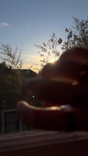 ASMR Window Tapping ☀️✨ / #asmr #lofiasmr #lofi #tingly #relaxing