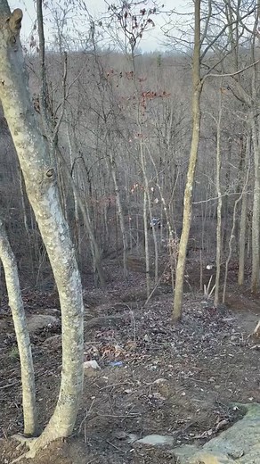 #rushcartel #outcastoffroad #halo30 #canam #rushoffroadpark #catech #playground