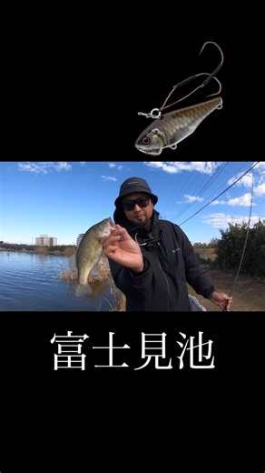 Takuya Baba on Instagram: "BABATube公開前に【スピードバイブチラシバリチューン】でのヒットシーンをお送りします！ 冲の深場からリフト&フォールしつつカケアガリやブレイクをアップヒルで攻略 この作業もノーマルのメタルバイブだと根掛かりがストレスとなり易い釣りですが、アップヒルでも引っ掛かりにくいのがチラシバリチューンの特徴。 全国のフィールドでお試しください。 JACKALL スピードバイブチラシバリチューン5g(RT小鮒) JACKALL REVOLTAGE(RVⅡ-C69L+BF) shimano アルデバランBFSXG JACKALL REDSPOOL 10lb SMITH LOWDOWN XL2(Xグレーブルーミラー) #富士見池 #スピードバイブチラシバリチューン #スピードバイブ #エリアバスフィッシング #エリアバス"