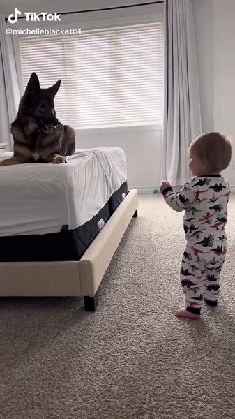 No babies were harmed in the making of this film 😂 I promise he’s okay! #fyp #viral #babiesoftiktok #babyboy #family #dogsoftiktok #funny #babyfever #SlurpeeRun