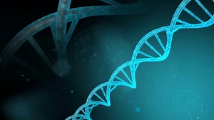 3d Dna Animation With Loop Stock Motion Graphics SBV-305011716 - Storyblocks