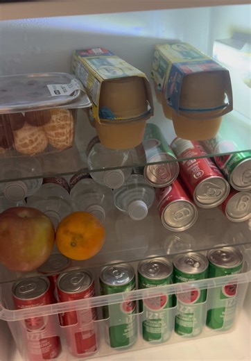 Mini Compact Fridge with Freezer for Dorm Life