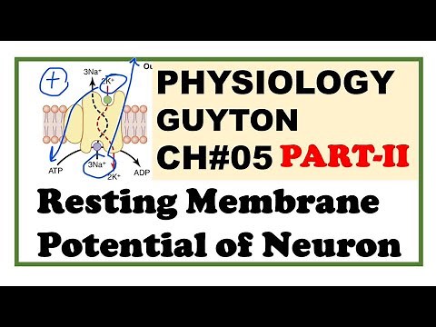Chapter#5(Part-II) | Resting Membrane Potential | Guyton Physiology | Dr Asif Lectures