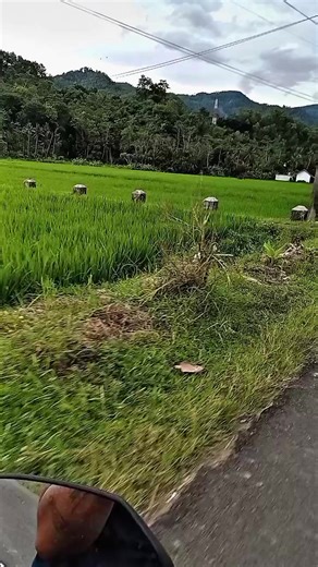 Alhamdulillah ISO tuku pikep masio Bane tok 🤣🤣🤣 #l300_pickup #sapekkonten #CapCut