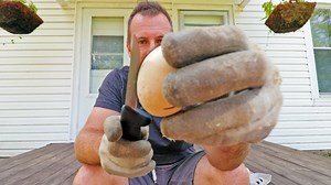 610K views · 2.7K reactions | We bought Peacock hatching eggs… this is what happened. | White House on the Hill | Facebook