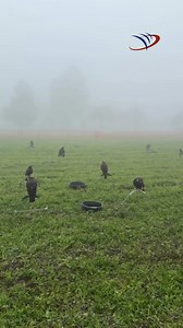 The California Hawking Club Field Meet was a whirlwind of activity from January 14–17. Between thick fog and fast-paced flights, we were on hand with our Marshall GPS systems, supporting judges and sharing in the excitement of the CHC community. It was an absolute pleasure supporting this incredible event and meeting so many dedicated falconers. Thanks to everyone who made it such a memorable few days. | Marshall Radio Telemetry