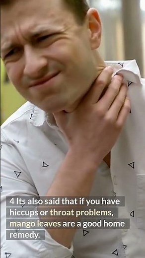 Mango Leaf Tea: 7 Surprising Health Benefits & How to Make It.