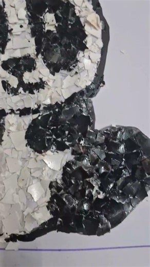 craft | Egg shell craft | Panda | Blossom | Creative album | B Ed