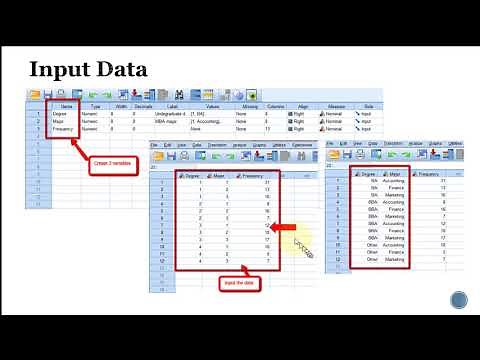 How to conduct chi square test in SPSS