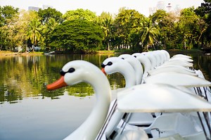 Best Date Ideas in Bangkok: Fun and unusual things to do with your paramour in the city | Coconuts