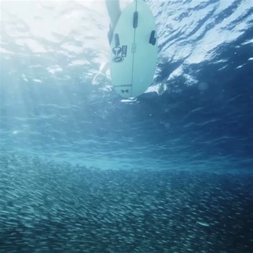 surftok (@surftok21) - Experience the Thrill of Surfing in Outer Space