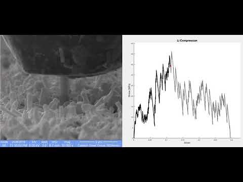 A Close-Up View of Lithium-Metal Dendrites