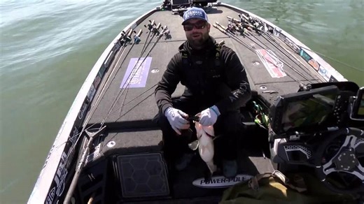 Cook with a 7-pound largemouth - Bassmaster