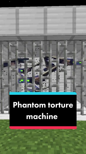 PHANTOMS SUCKS! They are the worst mob to ever be added to Minecraft so today I decided to make a machine to torture them and teach them a lesson. Honestly they got off easy though. #minecraft #mc #mcyt #minecrafthardcore #hardcoreminecraft #minecrafttutorial #minecrafttutorials #tutorial #tutorials #minecraftbuilding #minecrafttip #minecrafttips #minecrafttipsandtricks #minecrafttipsntricks #minecraftphantom #minecraftmobvote #fyp #fypシ #foryou #foryoupage #xyzbca